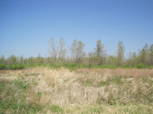 Photograph of the site today